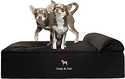 Noah & Paw Machine Washable Orthopedic Sofa Dog Bed, Black, Medium