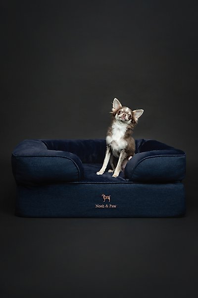 Noah & Paw Denim Collection Orthopedic Dog Bed