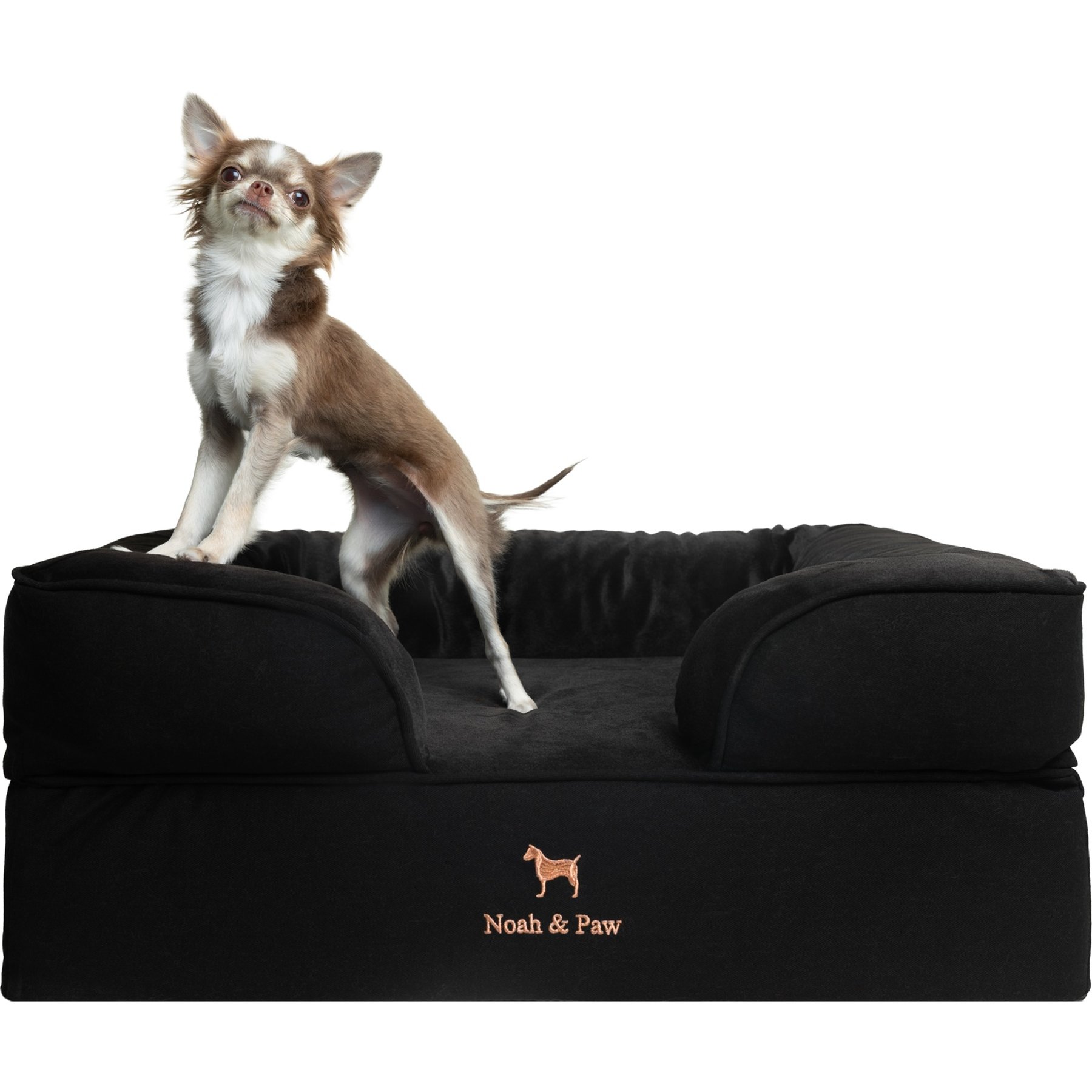 Noah & Paw Machine Washable Orthopedic Classic Dog Bed, Black, Medium