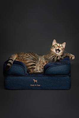 Show full view: Noah & Paw Machine Washable Orthopedic Sofa Dog Bed, Dark Blue, 20 x 15 x 8-in slide 6 of 9