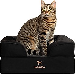 Noah & Paw Machine Washable Orthopedic Classic Dog Bed, Black, Small
