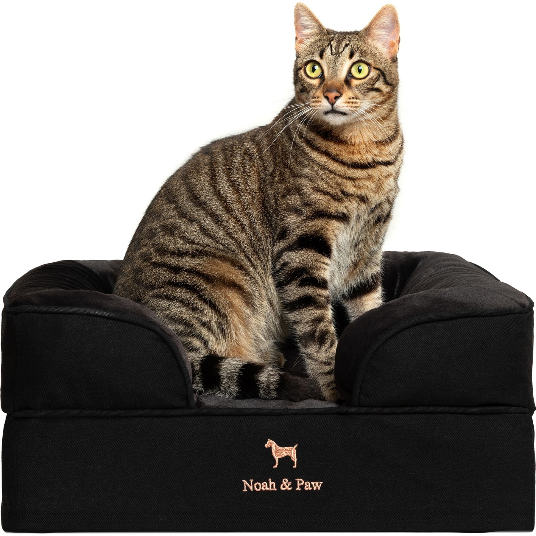 Noah & Paw Machine Washable Orthopedic Classic Dog Bed, Black, Small