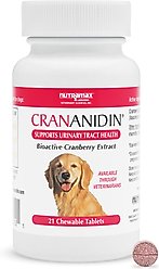 Nutramax Crananidin Cranberry Extract Chewable Tablets Urinary Supplement for Dogs, 75 count slide 1 of 9