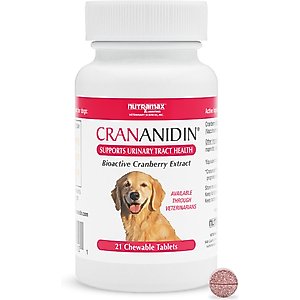 Nutramax Crananidin Cranberry Extract Chewable Tablets Urinary Supplement for Dogs, 75 count