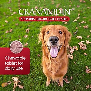 Nutramax Crananidin Cranberry Extract Chewable Tablets Urinary Supplement for Dogs, 75 count