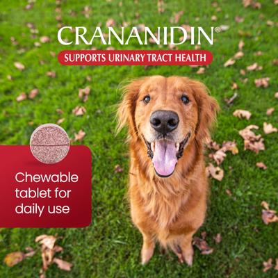 Show full view: Nutramax Crananidin Cranberry Extract Chewable Tablets Urinary Supplement for Dogs, 75 count slide 4 of 12