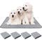 Show in main carousel: PatiencET Washable Dog Pee Pads, 18 x 24-in, 4 count slide 1 of 8