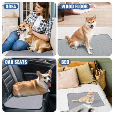 Show full view: PatiencET Washable Dog Pee Pads, 18 x 24-in, 4 count slide 3 of 8