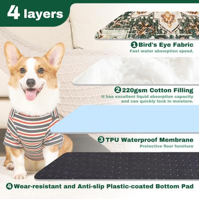 Show full view: PatiencET Super Absorbent Non-Slip Washable Dog Pee Pads, Green, 24 x 36-in, 2 count slide 6 of 12