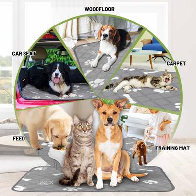 Show full view: PatiencET Super Absorbent Washable Dog Pee Pads, 36 x 48-in, 2 count slide 2 of 10
