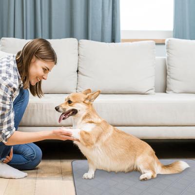 Show full view: PatiencET Washable Dog Pee Pads, 18 x 24-in, 4 count slide 6 of 8