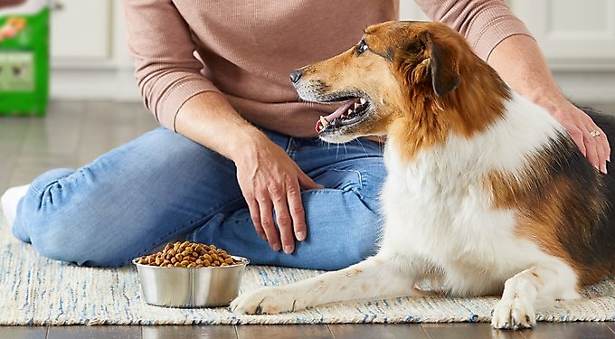 Rachael Ray Nutrish Savory Roasters Roasted Chicken Grain-Free Recipe Dog Treats