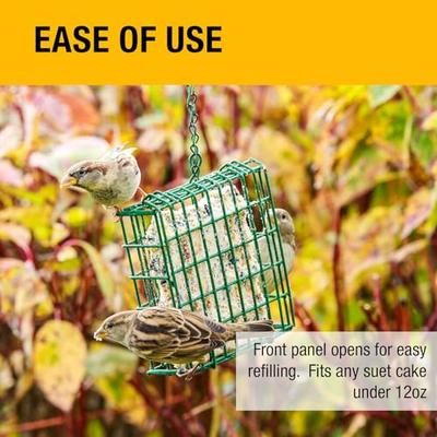 Show full view: Heath Outdoor Products Single Hanging Suet Songbird Feeder, Fits All Suet Cakes Under 12-oz, Green slide 6 of 7