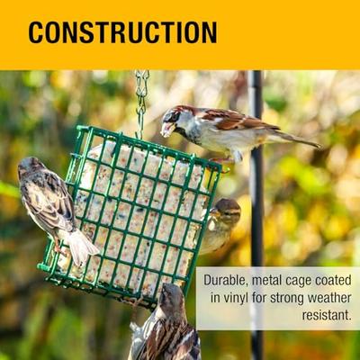 Show full view: Heath Outdoor Products Single Hanging Suet Songbird Feeder, Fits All Suet Cakes Under 12-oz, Green slide 4 of 7