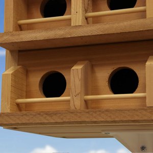 Heath Outdoor Products Deluxe Wood Martin Songbird House, Cedar
