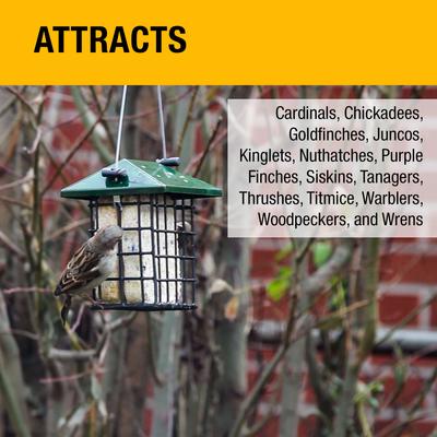 Show full view: Heath Outdoor Products All Season High Energy Suet Cake Songbird Food, 11.25-oz tray, case of 10 slide 2 of 7