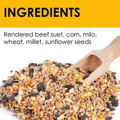 Show full view: Heath Outdoor Products All Season High Energy Suet Cake Songbird Food, 11.25-oz tray, case of 10 slide 3 of 7