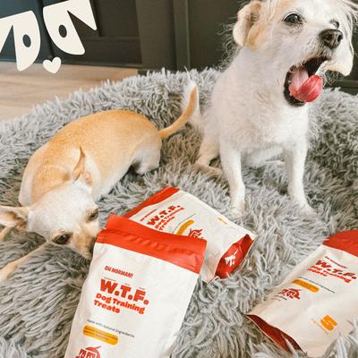 Show full view: OH NORMAN WTF Pork Flavored Training Soft & Chewy Dog Treats, 5-oz bag slide 7 of 11