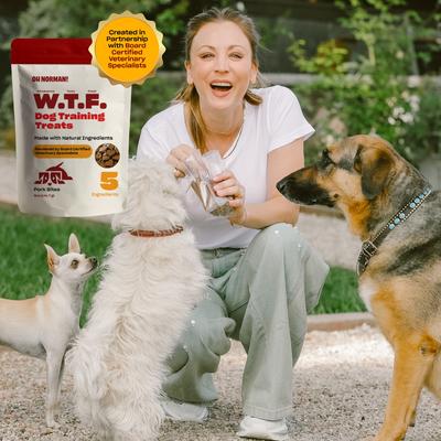 Show full view: OH NORMAN WTF Pork Flavored Training Soft & Chewy Dog Treats, 5-oz bag slide 5 of 11