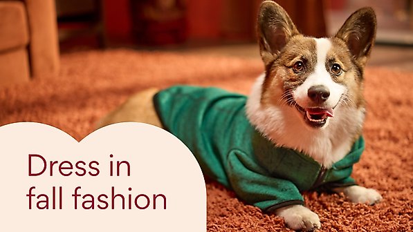 Dress in fall fashion