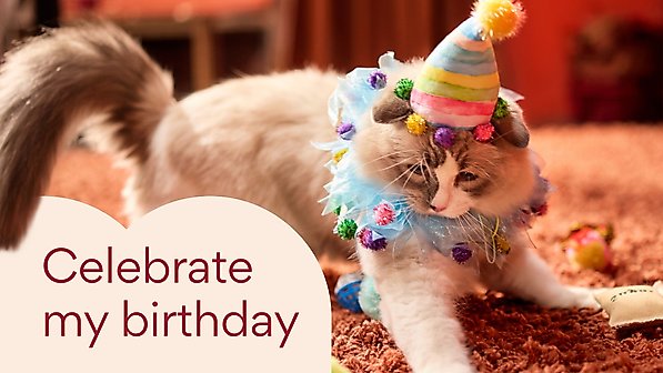 Celebrate my birthday