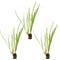 Show in main carousel: HydrOasis Assorted Iris Potted Fish Plant, 3 count slide 1 of 4
