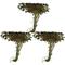 Show in main carousel: HydrOasis Mosaic Surface Live Pond Plant, 3 count slide 2 of 4