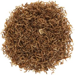 Fluval Betta Freeze-Dried Bloodworms Fish Food, 0.18-oz slide 2 of 2