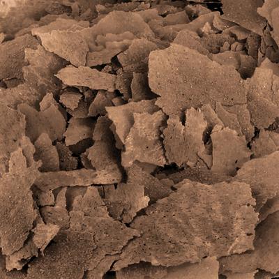 Show full view: Fluval Bug Bites Color Enhancing Flakes Fish Food, 0.63-oz slide 2 of 2