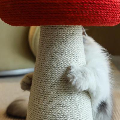Show full view: Happy & Polly Mushroom Series Sisal Cat Scratcher Toy, Red, Large slide 5 of 10