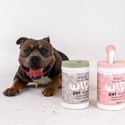Dexypaws Oatmeal & Vitamin E Cleansing Dog Wet Wipes, 200 count canister slide 2 of 9