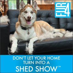 FUR4 Short Hair Cat Deshedding Tool, Yellow slide 2 of 8