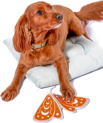 Awoo Luna Moth Flying Disc Dog Toy, Brown