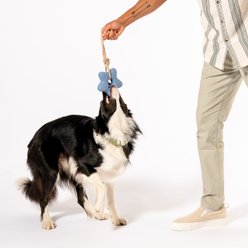 Awoo Comet's Tail Ropes Tug Dog Toy, Blue