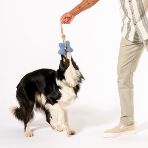 Awoo Comet's Tail Ropes Tug Dog Toy, Blue