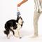 Show in main carousel: Awoo Comet's Tail Ropes Tug Dog Toy, Blue slide 1 of 6
