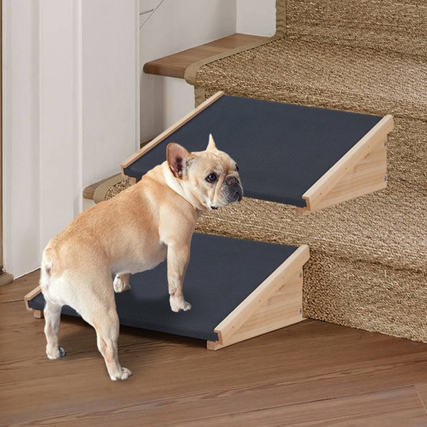 Dog Ramps - Free shipping | Chewy