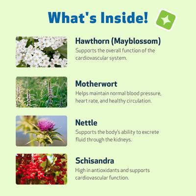 Show full view: Pet Wellbeing Young at Heart Bacon Flavored Liquid Heart Supplement for Dogs, 2-fl oz bottle slide 6 of 9