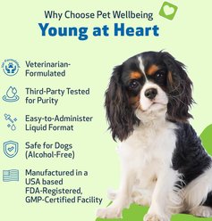 Pet Wellbeing Young at Heart Bacon Flavored Liquid Heart Supplement for Dogs, 2-fl oz bottle slide 2 of 7