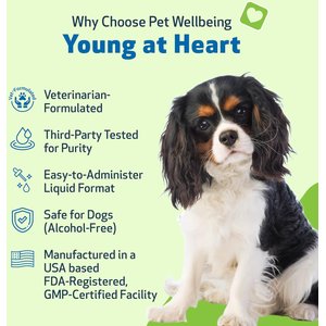 Pet Wellbeing Young at Heart Bacon Flavored Liquid Heart Supplement for Dogs, 2-fl oz bottle