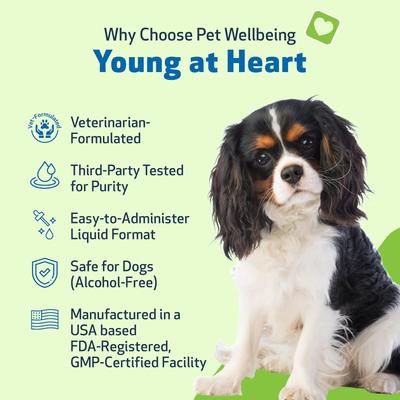 Show full view: Pet Wellbeing Young at Heart Bacon Flavored Liquid Heart Supplement for Dogs, 2-fl oz bottle slide 3 of 9