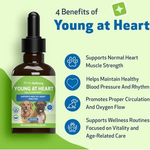 Pet Wellbeing Young at Heart Bacon Flavored Liquid Heart Supplement for Dogs, 2-fl oz bottle