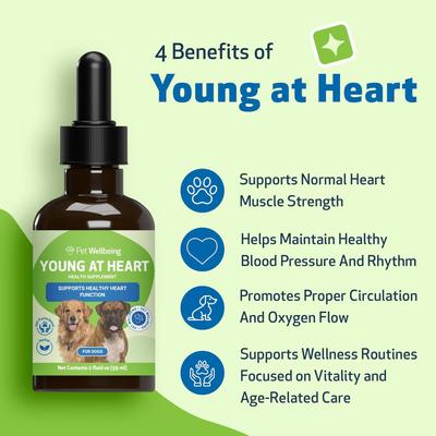 Show full view: Pet Wellbeing Young at Heart Bacon Flavored Liquid Heart Supplement for Dogs, 2-fl oz bottle slide 4 of 9