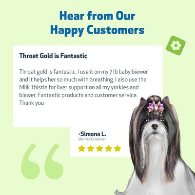 Show full view: Pet Wellbeing Throat Gold Bacon Flavored Liquid Respiratory Supplement for Dogs & Cats, 2-oz bottle, Green slide 9 of 10