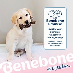 Benebone Multipack Puppy Bacon Flavor Dog Chew Toy, Brown, Small, 4 count slide 2 of 7