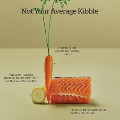 Show full view: Now Fresh Good Gravy Salmon Recipe Grain-Free Adult Dry Cat Food, 8-lb bag slide 7 of 11