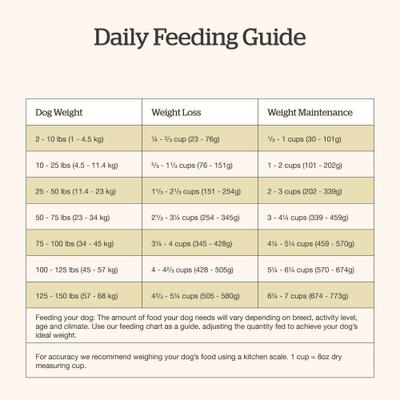 Show full view: Now Fresh Good Gravy Adult Chicken-Free Beef Recipe with Ancient Grains Dry Dog Food, 22-lb bag slide 9 of 11