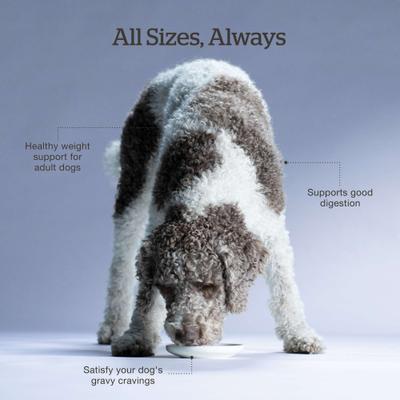 Show full view: Now Fresh Good Gravy Senior Chicken-Free Beef Recipe with Ancient Grains Dry Dog Food, 22-lb bag slide 5 of 11