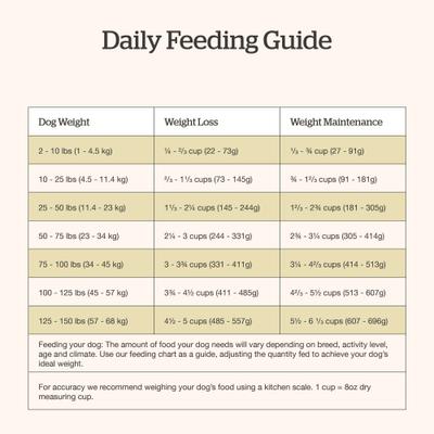 Show full view: Now Fresh Good Gravy Senior Chicken-Free Beef Recipe with Ancient Grains Dry Dog Food, 22-lb bag slide 9 of 11