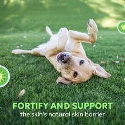 Nutramax Dermaquin Skin Support Vitamins Chew Supplement for Large Dogs, 60 count slide 2 of 8